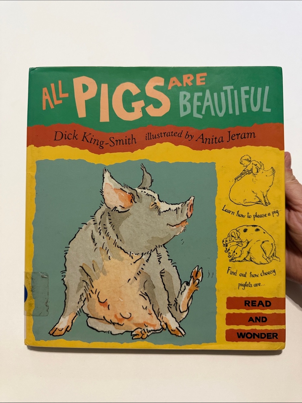 All Pigs Are Beautiful Children's Book - Green/Yellow Hard Cover